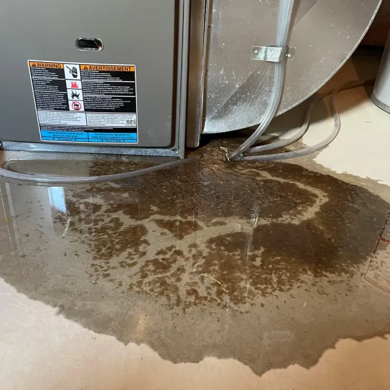 Appliance Leak Cleanup in Urbana, MD